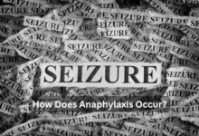 Seizures Are Categorized into Which Two Types?