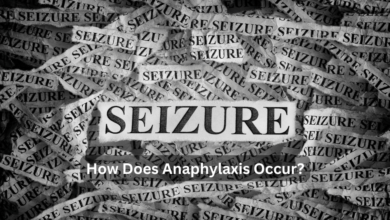 Seizures Are Categorized into Which Two Types?