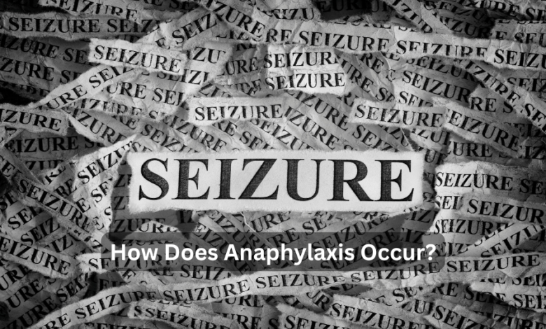 Seizures Are Categorized into Which Two Types?